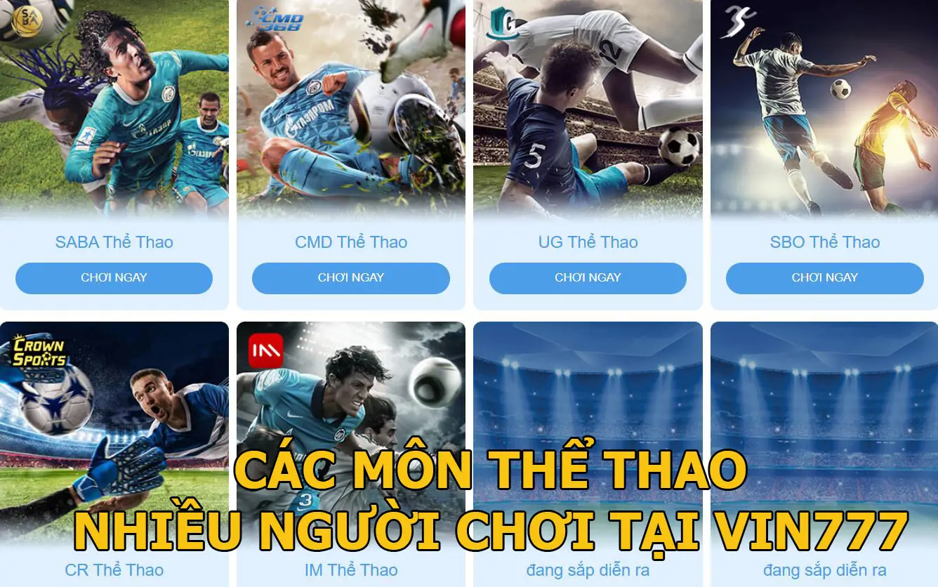 Các môn thể thao Vin777 nhiều người chơi